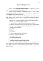 Funkcionuojantys dokumentai ir jų apžvalga UADB "Baltikums konsultacijos" 4 puslapis