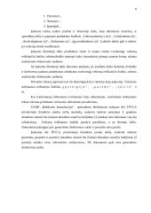 Funkcionuojantys dokumentai ir jų apžvalga UADB "Baltikums konsultacijos" 8 puslapis