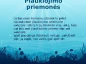 Kaip elgtis vandenyje 4 puslapis