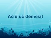 Kaip elgtis vandenyje 7 puslapis