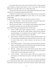 Prekės ženklo žinomumą per socialinius tinklus didinančių veiksnių analizė  11 puslapis