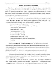 Gaisrinė. Apsauginė buto signalizacija 5 puslapis