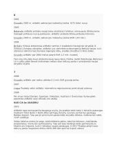 AirBaltic pristatymas 2 puslapis