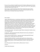 AirBaltic pristatymas 11 puslapis