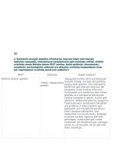 AirBaltic pristatymas 6 puslapis