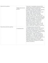 AirBaltic pristatymas 7 puslapis