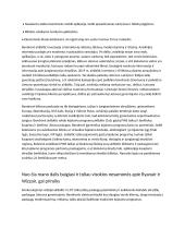 AirBaltic pristatymas 10 puslapis