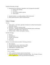 Italijos ir Vokietijos fašizmas 2 puslapis