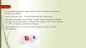 Jogurto gamyba 3 puslapis