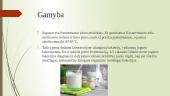 Jogurto gamyba 7 puslapis