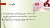Jogurto gamyba 8 puslapis