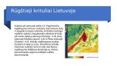 Rūgštusis lietus - skaidrės 6 puslapis