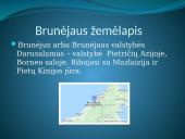 Brunėjus 3 puslapis