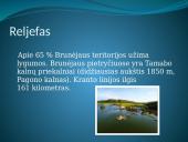 Brunėjus 5 puslapis