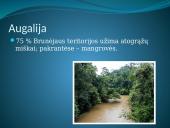 Brunėjus 6 puslapis