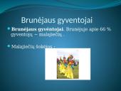 Brunėjus 7 puslapis