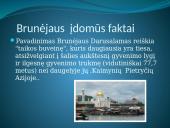 Brunėjus 8 puslapis