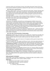 Akies ydų modeliavimas ir jų korekcijos tyrimas 3 puslapis