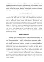 Globalizacija ir globalizacijos bruožai 5 puslapis