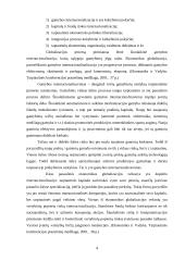 Globalizavimas. Užsienio investicijos 2 puslapis