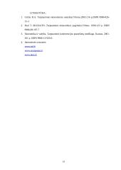 Globalizavimas. Užsienio investicijos 11 puslapis