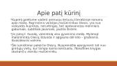 Kuprelio santykis su Dievu 3 puslapis