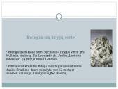 Įdomūs faktai apie knygas 3 puslapis