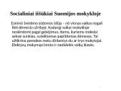 Lietuvos ir Suomijos švietimo sistemos lyginamoji analizė 12 puslapis