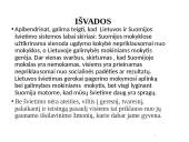 Lietuvos ir Suomijos švietimo sistemos lyginamoji analizė 14 puslapis