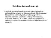 Lietuvos ir Suomijos švietimo sistemos lyginamoji analizė 4 puslapis