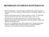 Lietuvos ir Suomijos švietimo sistemos lyginamoji analizė 8 puslapis