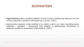 Eko-sistemų perspektyva socialiniame darbe 11 puslapis