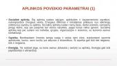 Eko-sistemų perspektyva socialiniame darbe 13 puslapis