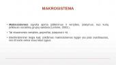 Eko-sistemų perspektyva socialiniame darbe 15 puslapis