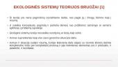 Eko-sistemų perspektyva socialiniame darbe 17 puslapis