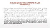 Eko-sistemų perspektyva socialiniame darbe 3 puslapis