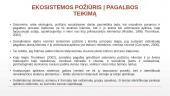 Eko-sistemų perspektyva socialiniame darbe 5 puslapis