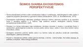 Eko-sistemų perspektyva socialiniame darbe 8 puslapis