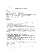 Vien grožis nesuteikia laimės. Kalba su planu 3 puslapis