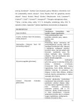 Kosmetinių priemonių palyginimas, sudėtis ir analizė 12 puslapis