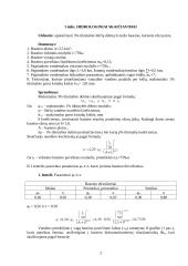 Hidraulikos vamzdinės pralaidos skaičiavimai 2 puslapis