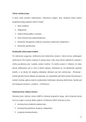 Įmonių apskaita (referatas) 16 puslapis