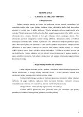 Įmonių apskaita (referatas) 3 puslapis