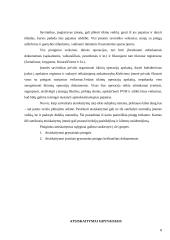 Įmonių apskaita (referatas) 7 puslapis