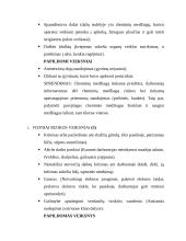 Veterinaro profesijos rizikos veiksniai 2 puslapis