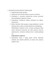 Veterinaro profesijos rizikos veiksniai 4 puslapis