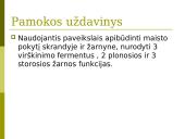 Virškinimas skrandyje ir žarnyne 2 puslapis