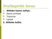 Virškinimas skrandyje ir žarnyne 13 puslapis