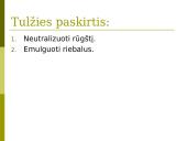 Virškinimas skrandyje ir žarnyne 15 puslapis