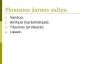 Virškinimas skrandyje ir žarnyne 18 puslapis